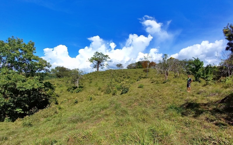 Natural Treasure with Ocean and Mountain View its a  Panoramic Estate in the Highlands of Cuervito: 143,704 m² of Privacy, Nature, and Spectacular Views