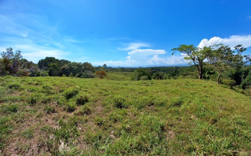 Natural Treasure with Ocean and Mountain View its a  Panoramic Estate in the Highlands of Cuervito: 143,704 m² of Privacy, Nature, and Spectacular Views