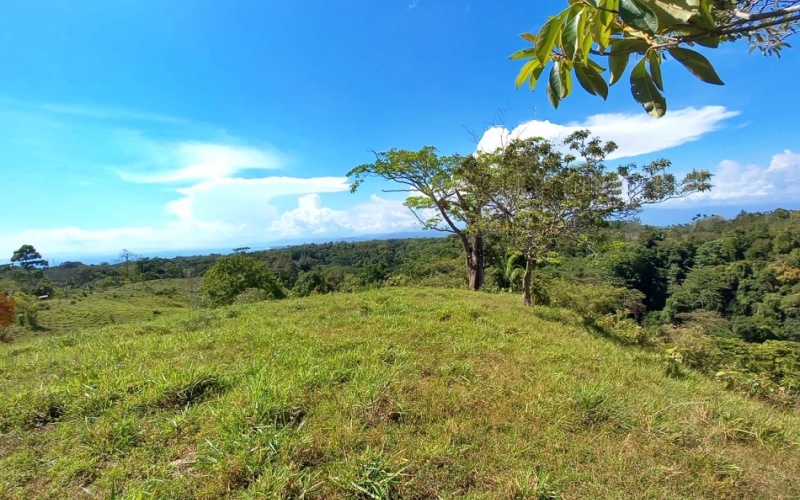 Natural Treasure with Ocean and Mountain View its a  Panoramic Estate in the Highlands of Cuervito: 143,704 m² of Privacy, Nature, and Spectacular Views