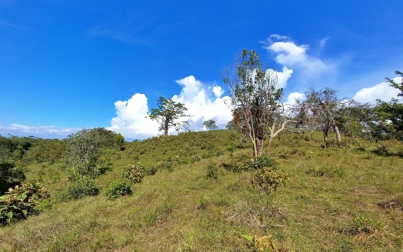 Natural Treasure with Ocean and Mountain View its a  Panoramic Estate in the Highlands of Cuervito: 143,704 m² of Privacy, Nature, and Spectacular Views