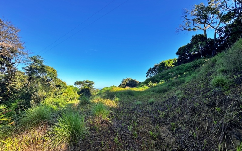 Ocean View Lot in Cuervito with Water Springs, this property size is 10,748 m² with Ocean Views, Natural Water Sources, and Prime Location