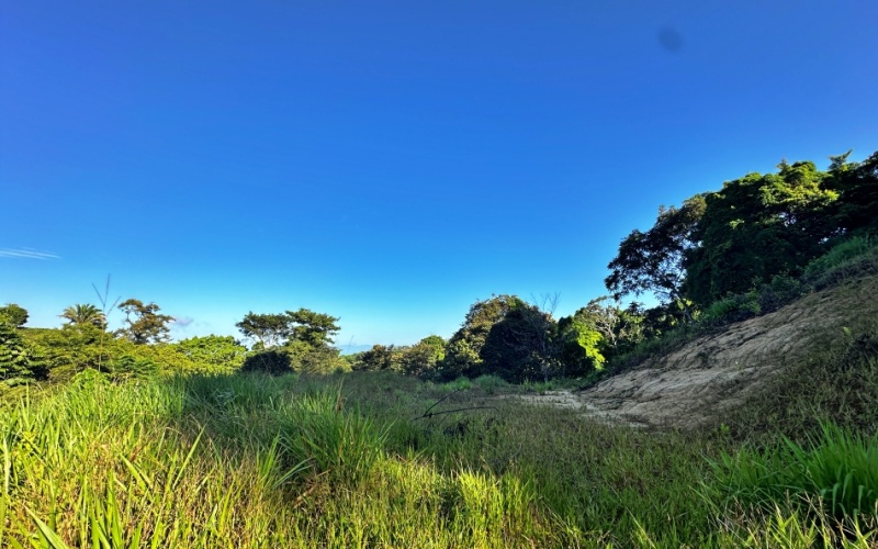 Ocean View Lot in Cuervito with Water Springs, this property size is 10,748 m² with Ocean Views, Natural Water Sources, and Prime Location