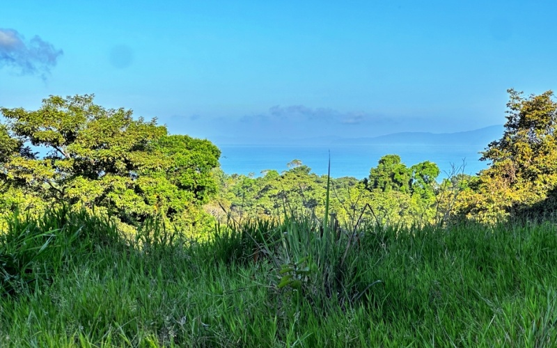 Ocean View Lot in Cuervito with Water Springs, this property size is 10,748 m² with Ocean Views, Natural Water Sources, and Prime Location