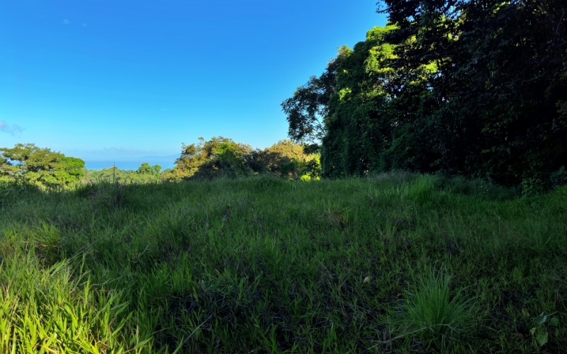 Ocean View Lot in Cuervito with Water Springs, this property size is 10,748 m² with Ocean Views, Natural Water Sources, and Prime Location