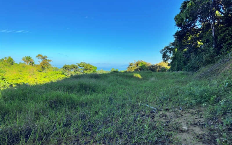 Ocean View Lot in Cuervito with Water Springs, this property size is 10,748 m² with Ocean Views, Natural Water Sources, and Prime Location