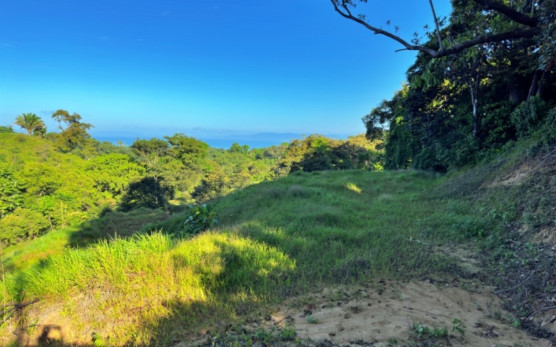 Ocean View Lot in Cuervito with Water Springs, this property size is 10,748 m² with Ocean Views, Natural Water Sources, and Prime Location