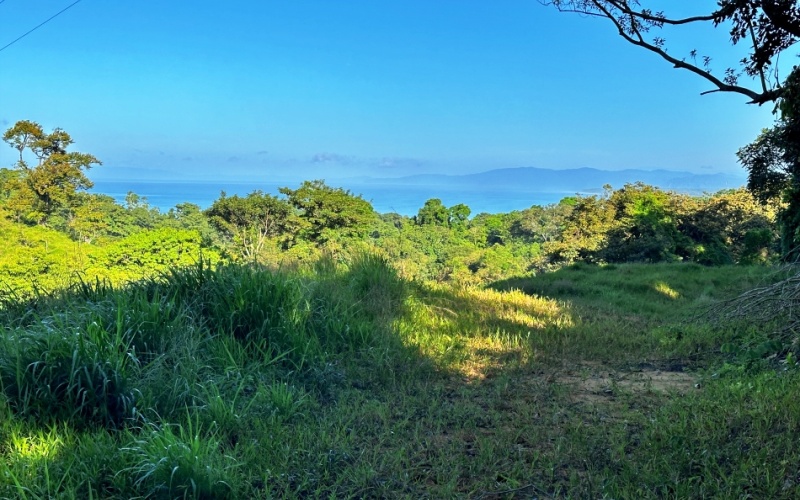 Ocean View Lot in Cuervito with Water Springs, this property size is 10,748 m² with Ocean Views, Natural Water Sources, and Prime Location