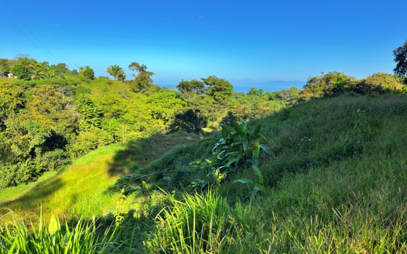 Ocean View Lot in Cuervito with Water Springs, this property size is 10,748 m² with Ocean Views, Natural Water Sources, and Prime Location