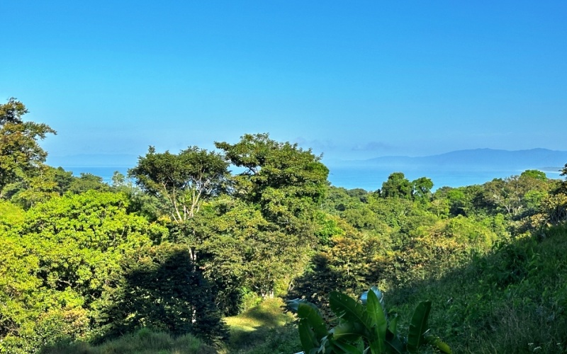 Ocean View Lot in Cuervito with Water Springs, this property size is 10,748 m² with Ocean Views, Natural Water Sources, and Prime Location