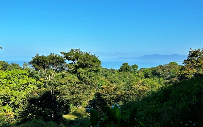 Ocean View Lot in Cuervito with Water Springs, this property size is 10,748 m² with Ocean Views, Natural Water Sources, and Prime Location