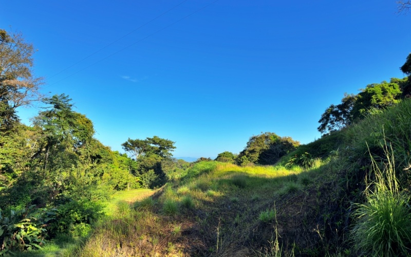 Ocean View Lot in Cuervito with Water Springs, this property size is 10,748 m² with Ocean Views, Natural Water Sources, and Prime Location