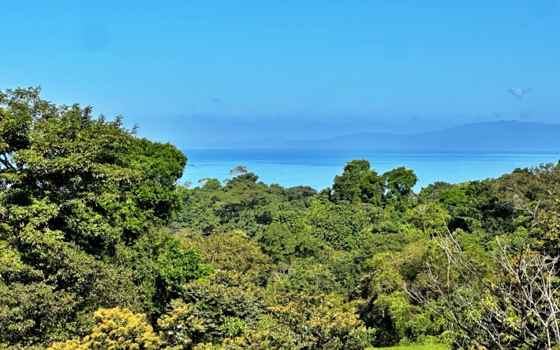 Ocean View Lot in Cuervito with Water Springs, this property size is 10,748 m² with Ocean Views, Natural Water Sources, and Prime Location