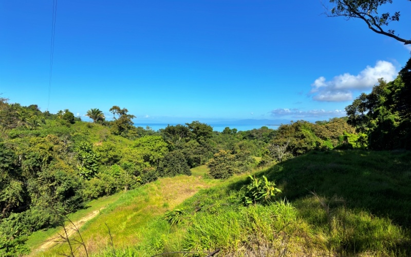 Ocean View Lot in Cuervito with Water Springs, this property size is 10,748 m² with Ocean Views, Natural Water Sources, and Prime Location