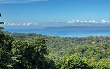 Santuario del Bosque a hidden gem in the heights of Pavones – 202,169 m² of pure nature and breathtaking views