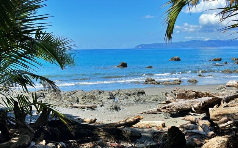 Coastal Lot Paradise in La Piña de Pavones – Just Steps from the Beach