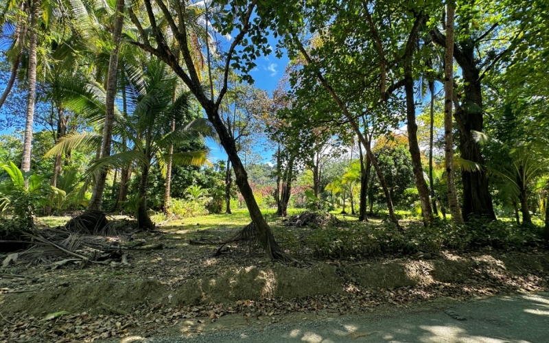 Coastal Lot Paradise in La Piña de Pavones – Just Steps from the Beach