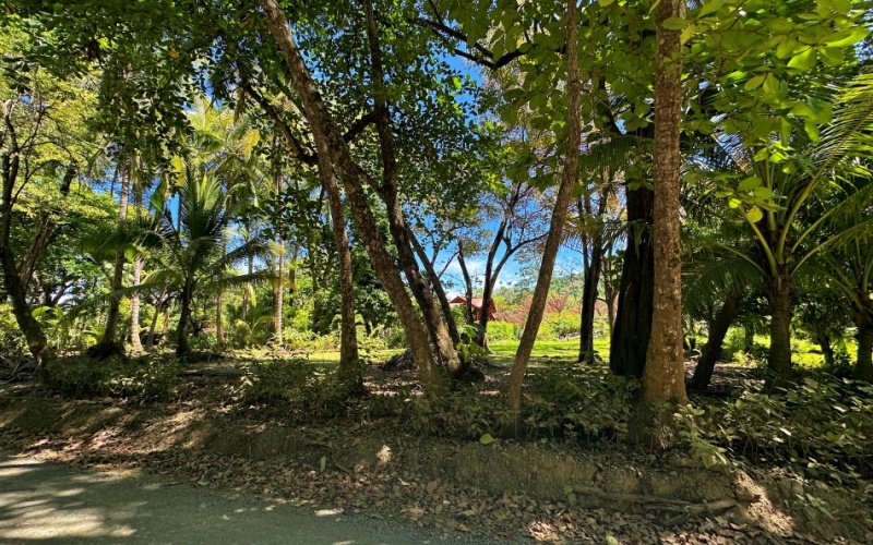 Coastal Lot Paradise in La Piña de Pavones – Just Steps from the Beach