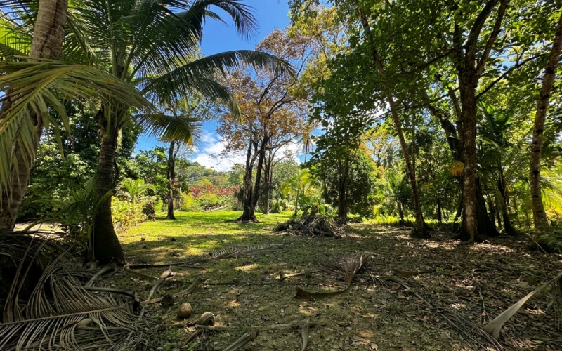 Coastal Lot Paradise in La Piña de Pavones – Just Steps from the Beach