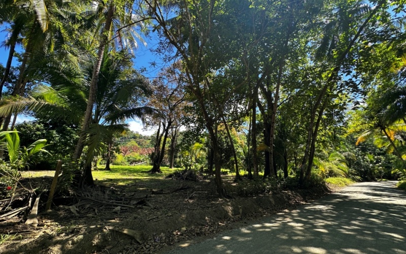 Coastal Lot Paradise in La Piña de Pavones – Just Steps from the Beach