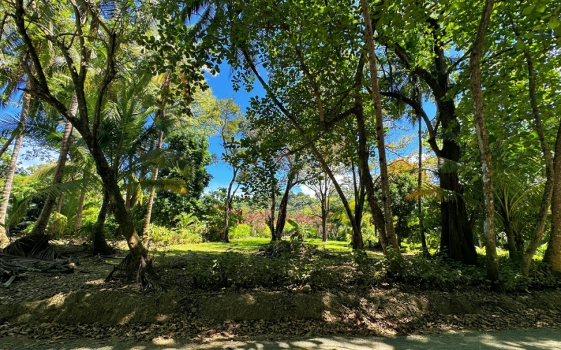 Coastal Lot Paradise in La Piña de Pavones – Just Steps from the Beach