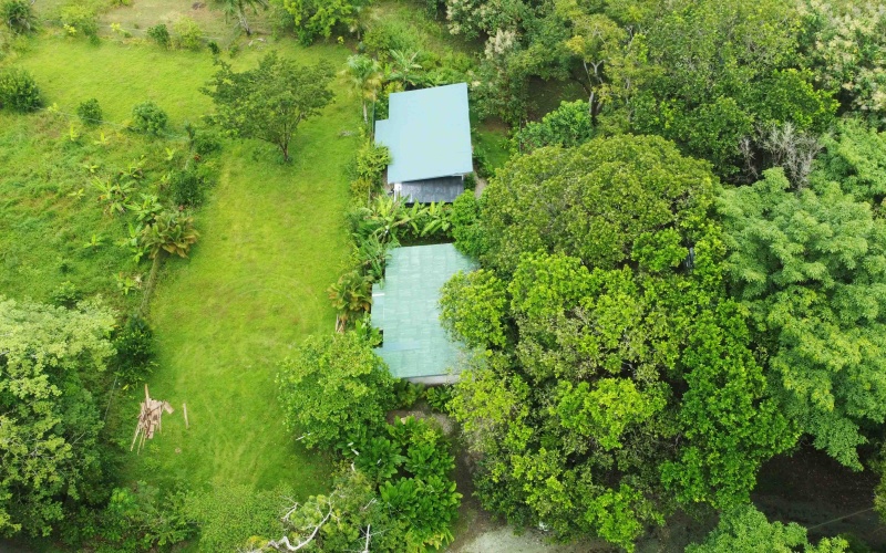 Pavones real estate, Pavones home for sale, Pilón surf property, Costa Rica investment property, Pavones rental income, Pavones wildlife home