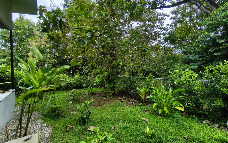 Pavones real estate, Pavones home for sale, Pilón surf property, Costa Rica investment property, Pavones rental income, Pavones wildlife home