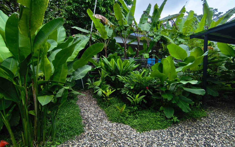 Pavones real estate, Pavones home for sale, Pilón surf property, Costa Rica investment property, Pavones rental income, Pavones wildlife home