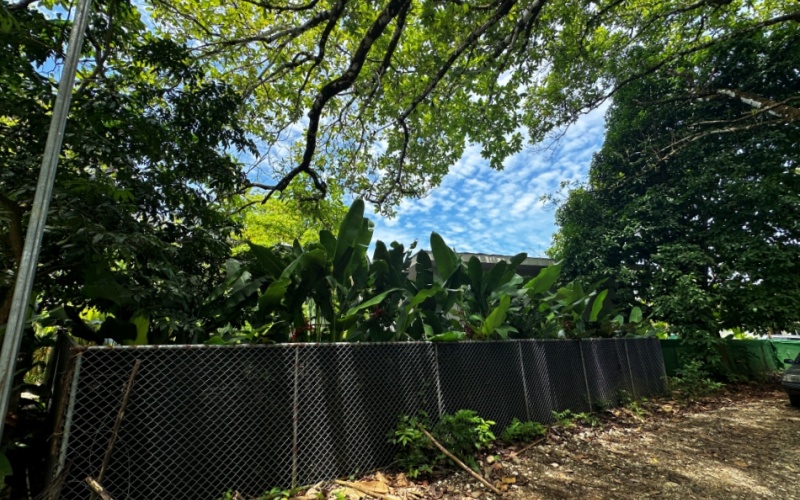 Unique Investment Opportunity in Pavones, Golfito! Property with Two Houses Just Steps from the Beach and Between Two Epic Surf Spots.