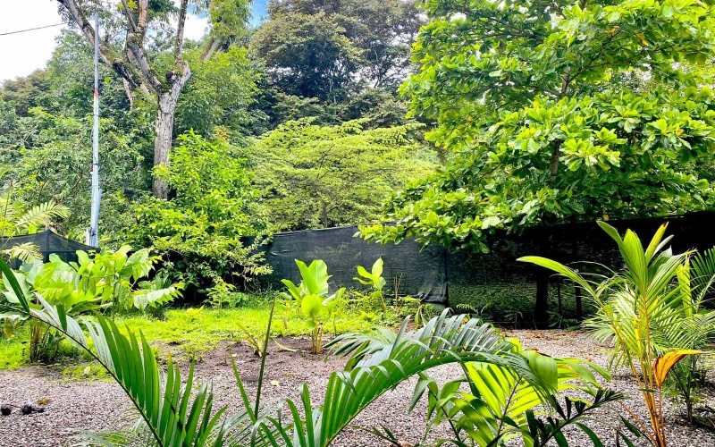 Pavones real estate, Pavones home for sale, Pilón surf property, Costa Rica investment property, Pavones rental income, Pavones wildlife home