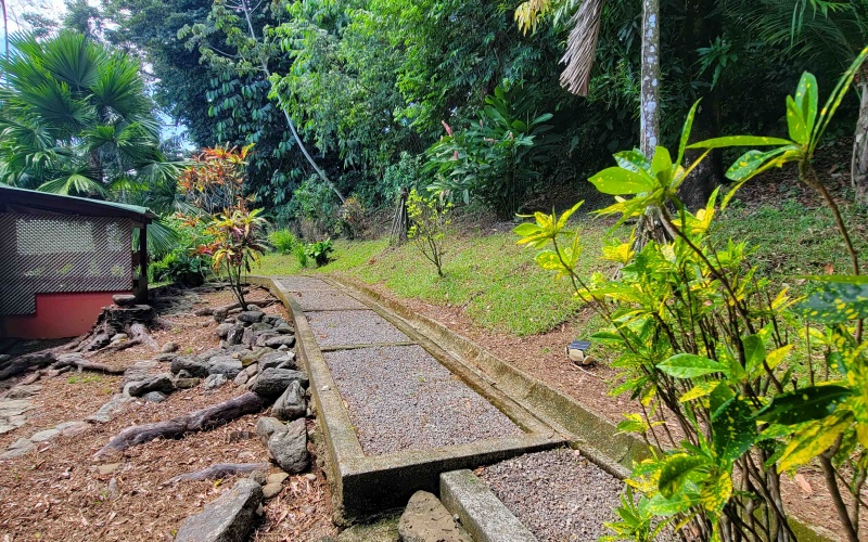 Pavones real estate, Costa Rica property for sale, jungle estate Costa Rica, luxury home Pavones, surf retreat Costa Rica, beachfront property Pavones, Costa Rica dual home estate, Pavones surf property, remote work property Costa Rica, investment property Costa Rica, ocean view home Pavones, Starlink property Costa Rica, off-grid home Costa Rica, tropical estate for sale, southern Costa Rica real estate
