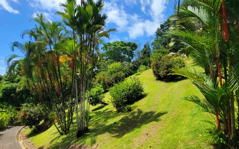 Pavones real estate, Costa Rica property for sale, jungle estate Costa Rica, luxury home Pavones, surf retreat Costa Rica, beachfront property Pavones, Costa Rica dual home estate, Pavones surf property, remote work property Costa Rica, investment property Costa Rica, ocean view home Pavones, Starlink property Costa Rica, off-grid home Costa Rica, tropical estate for sale, southern Costa Rica real estate
