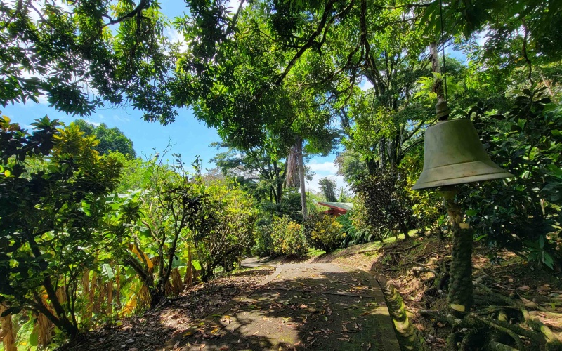 Pavones real estate, Costa Rica property for sale, jungle estate Costa Rica, luxury home Pavones, surf retreat Costa Rica, beachfront property Pavones, Costa Rica dual home estate, Pavones surf property, remote work property Costa Rica, investment property Costa Rica, ocean view home Pavones, Starlink property Costa Rica, off-grid home Costa Rica, tropical estate for sale, southern Costa Rica real estate
