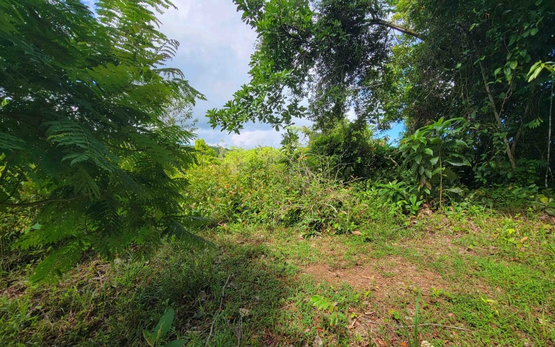 Pilon, langostino, Pavones,  Real Estate, For sale, Land, Lots, lot for sale,  Costa Rica