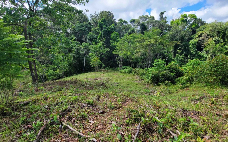 Pilon, langostino, Pavones,  Real Estate, For sale, Land, Lots, lot for sale,  Costa Rica