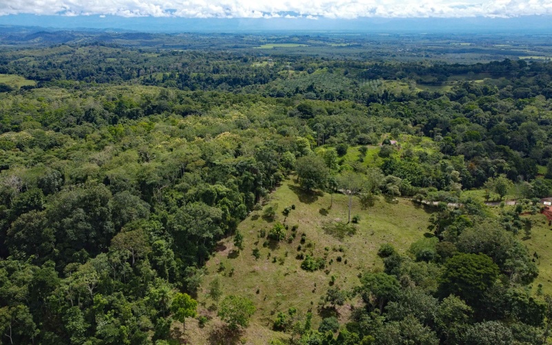 Pilon, langostino, Pavones,  Real Estate, For sale, Land, Lots, lot for sale,  Costa Rica