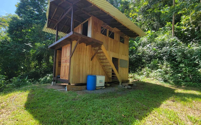 Pavones real estate, Properties for sale in Pavones, Pavones Costa Rica, land for sale, Pavones, Pilon, Punta Banco, Jungle land, Beach property, Surf Property