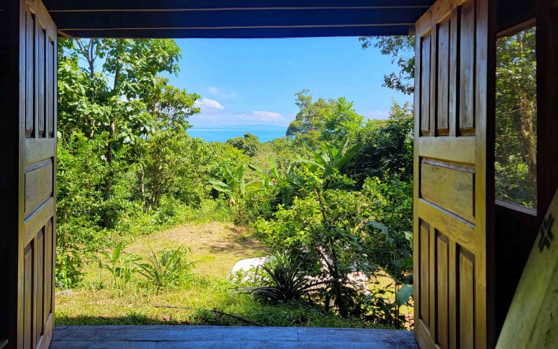 Pavones real estate, Properties for sale in Pavones, Pavones Costa Rica, land for sale, Pavones, Pilon, Punta Banco, Jungle land, Beach property, Surf Property