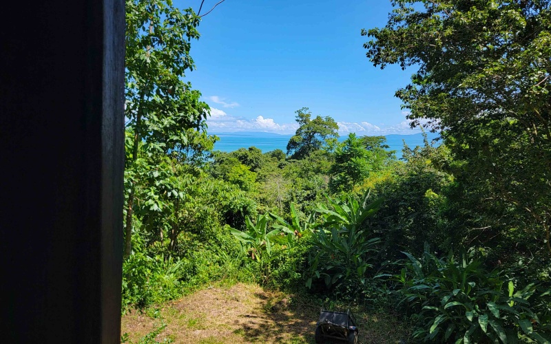 Pavones real estate, Properties for sale in Pavones, Pavones Costa Rica, land for sale, Pavones, Pilon, Punta Banco, Jungle land, Beach property, Surf Property