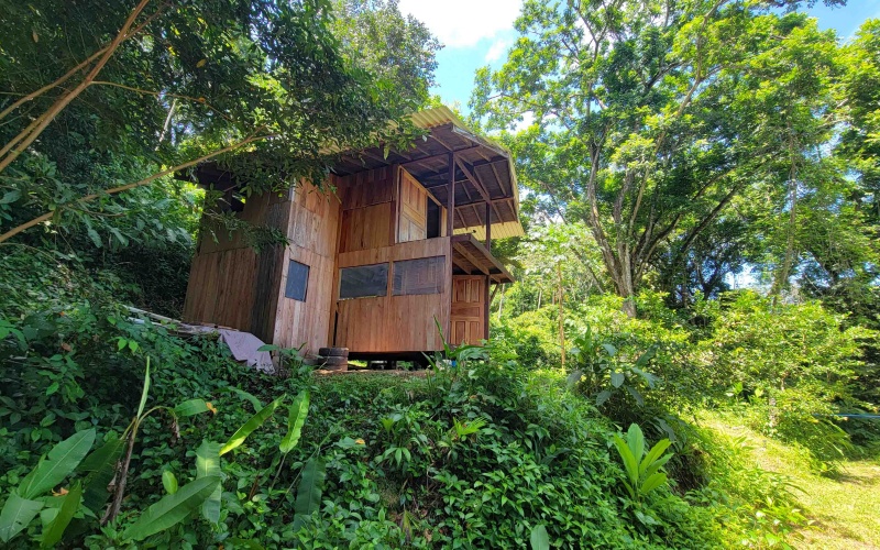 Pavones real estate, Properties for sale in Pavones, Pavones Costa Rica, land for sale, Pavones, Pilon, Punta Banco, Jungle land, Beach property, Surf Property