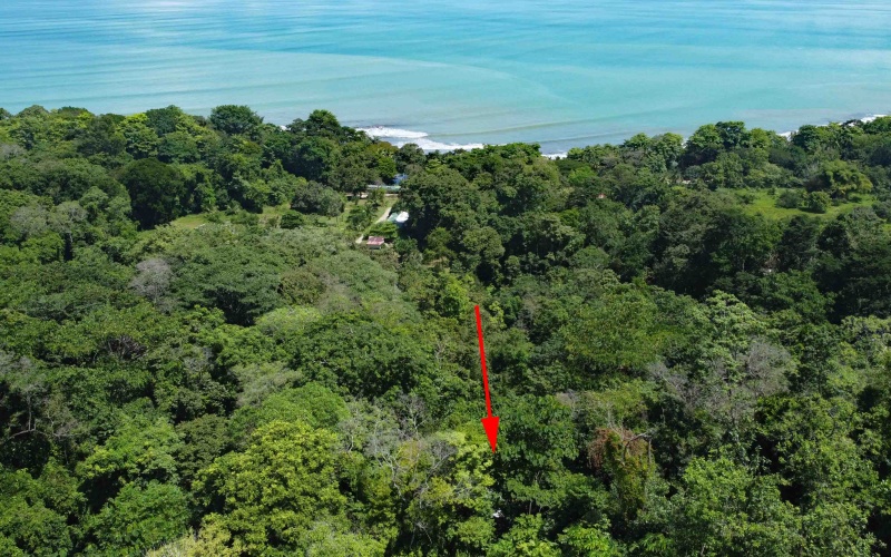 Pavones real estate, Properties for sale in Pavones, Pavones Costa Rica, land for sale, Pavones, Pilon, Punta Banco, Jungle land, Beach property, Surf Property