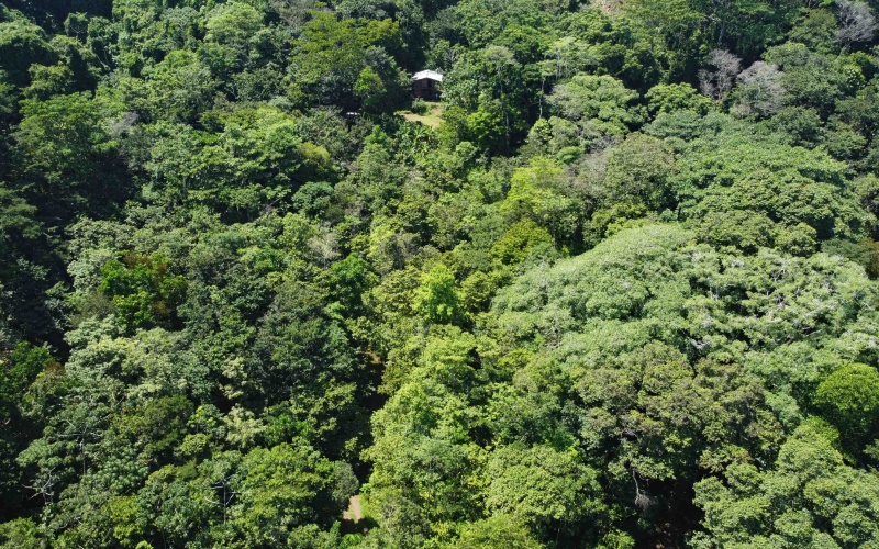 Pavones real estate, Properties for sale in Pavones, Pavones Costa Rica, land for sale, Pavones, Pilon, Punta Banco, Jungle land, Beach property, Surf Property