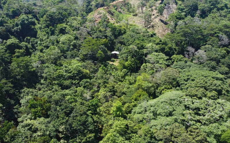 Pavones real estate, Properties for sale in Pavones, Pavones Costa Rica, land for sale, Pavones, Pilon, Punta Banco, Jungle land, Beach property, Surf Property