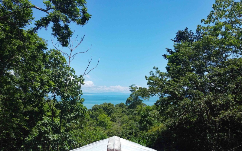 Pavones real estate, Properties for sale in Pavones, Pavones Costa Rica, land for sale, Pavones, Pilon, Punta Banco, Jungle land, Beach property, Surf Property