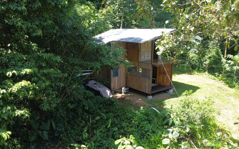 Pavones real estate, Properties for sale in Pavones, Pavones Costa Rica, land for sale, Pavones, Pilon, Punta Banco, Jungle land, Beach property, Surf Property