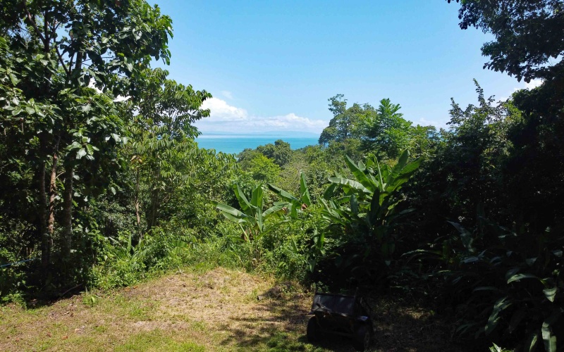 Pavones real estate, Properties for sale in Pavones, Pavones Costa Rica, land for sale, Pavones, Pilon, Punta Banco, Jungle land, Beach property, Surf Property