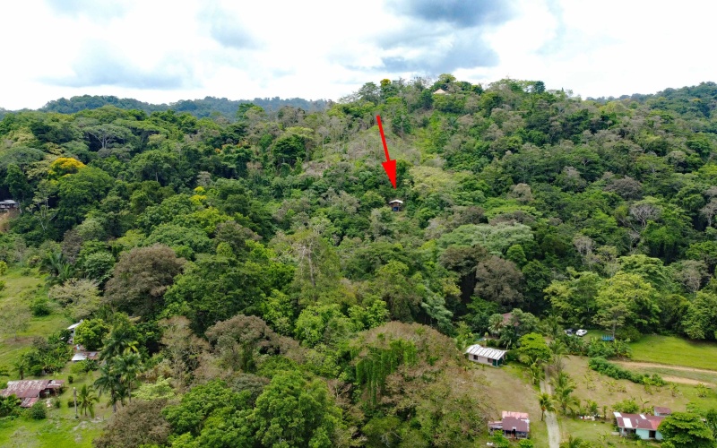 Pavones real estate, Properties for sale in Pavones, Pavones Costa Rica, land for sale, Pavones, Pilon, Punta Banco, Jungle land, Beach property, Surf Property