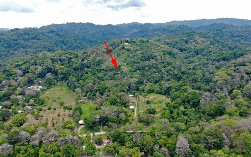 Pavones real estate, Properties for sale in Pavones, Pavones Costa Rica, land for sale, Pavones, Pilon, Punta Banco, Jungle land, Beach property, Surf Property