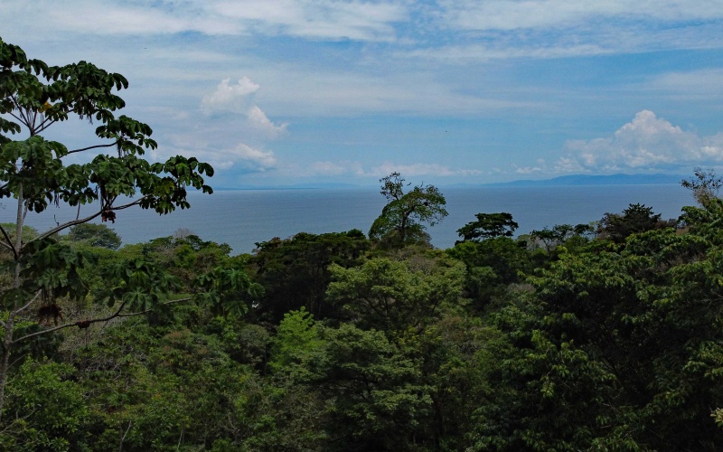 Pavones real estate, Properties for sale in Pavones, Pavones Costa Rica, land for sale, Pavones, Pilon, Punta Banco, Jungle land, Beach property, Surf Property