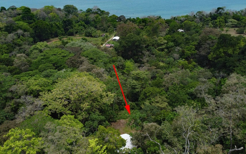 Pavones real estate, Properties for sale in Pavones, Pavones Costa Rica, land for sale, Pavones, Pilon, Punta Banco, Jungle land, Beach property, Surf Property