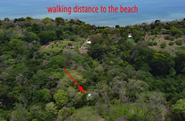 Pavones real estate, Properties for sale in Pavones, Pavones Costa Rica, land for sale, Pavones, Pilon, Punta Banco, Jungle land, Beach property, Surf Property